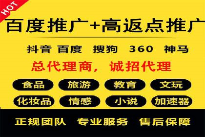 百度移动端应用推广策略探讨